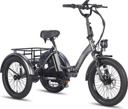 FAFREES F20 Mate - Vélo Électrique 20" - Pneu Gras Tricycle - Moteur 750W Batterie 48V/21Ah - Autonomie 150 km - 3 Freins, Gris