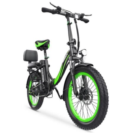 Vélo Électrique - HIDOES - HD-C1 - Moteur 750W - Batterie 48V 13Ah - Freins à Disque
