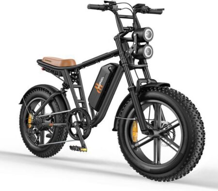 Hillmiles Milezoom 1 Vélo Électrique 20" Autonomie 100km Batterie 52V15.6Ah Tout suspendu Frein à disque hydraulique fat bike,Noir