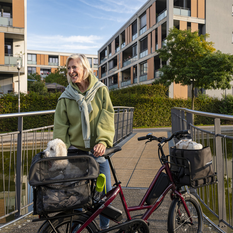Vélo cargo électrique Tern Quick Haul P9 – Image 9