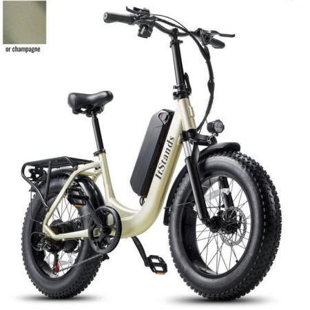 Vélo Électrique ITSTANDS U1,VTT Fat Bike 20"x4,0",Batterie 48V/15AH,Moteur 1000W,Autonomie 100KM,Shimano 7 vitesses,E-BIKE Doré