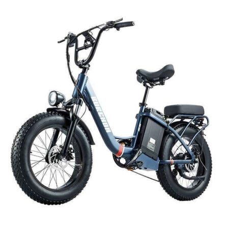 Vélo Électrique Puissant - 1000W - Batterie 48V 31,5Ah, 100km d'Autonomie - Shimano 7 Vitesses - Pneus 20"x4.0" - VTT