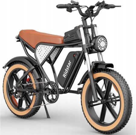 VTT Vélo électrique Ridstar Q20-LUXE 1000W 48V20AH 50KM/H 20" 7-vitesses Marron Snow Sand City College Adultes Hommes Femmes