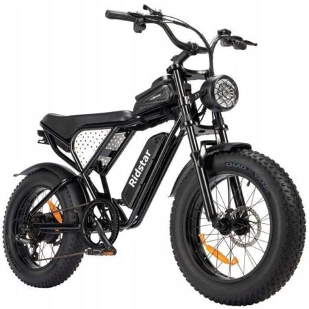 VTT Electric Bicycle Ridstar Q20MIN 1000W 48V15Ah Plage du mode PAS 80KM 20" 7 vitesses Noir E-Bike City Snow University Student