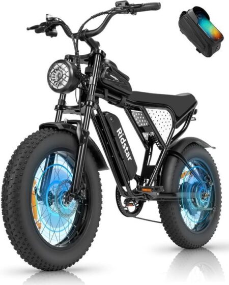 Vélo Électrique-20"*4.0 pneus tout terrain-Moteur 1000W-Batterie Amovible 48V/15.6Ah-Autonomie 40-60km-Shimano 7 vitesses-Noir