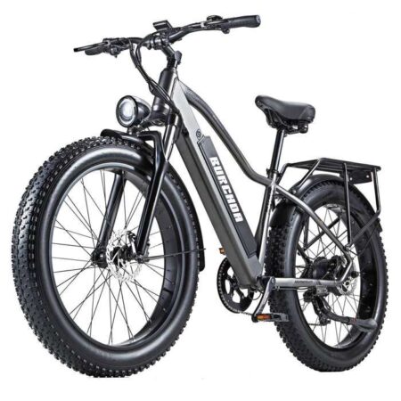 Vélo électrique RX20 Moteur 1000W - batterie 48V 20Ah - avec pneus 26"*4.0 Autonomie 90km - Vitesse Max 45km/h VTT