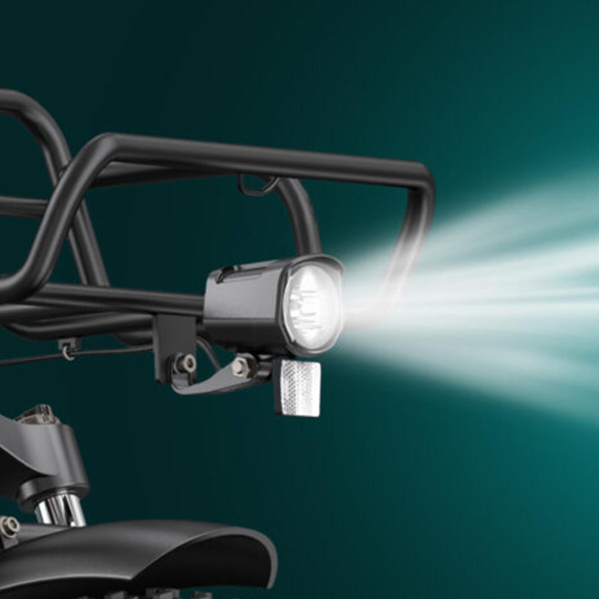 Vélo électrique ENGWE L20 BOOST, moteur 250 W, batterie 48 V 13 Ah – Image 4