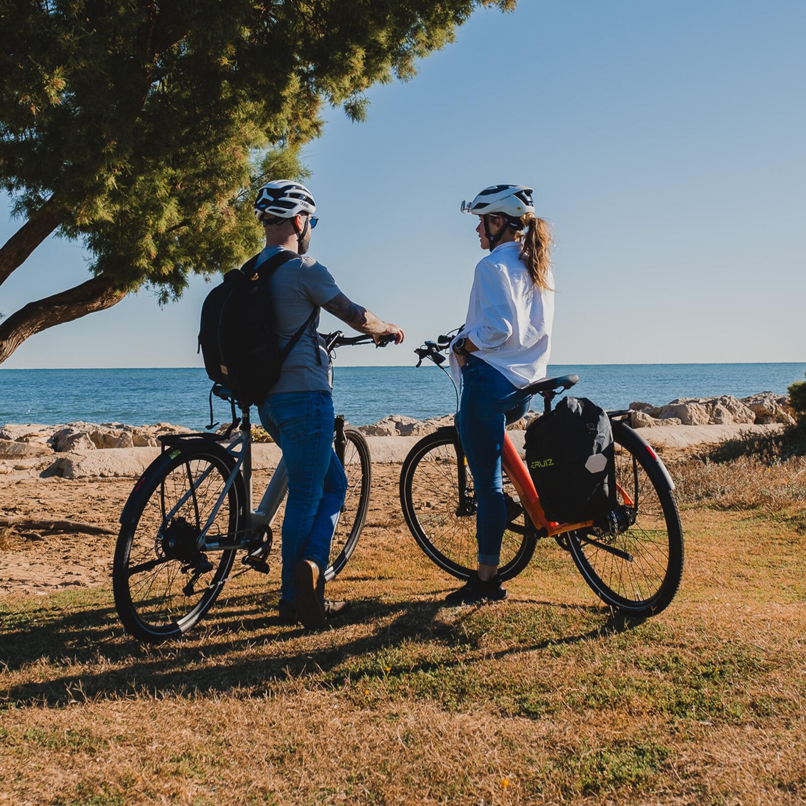 Vélo électrique Turmali Comfort 250W 36V 10Ah courroie GATES – Image 4